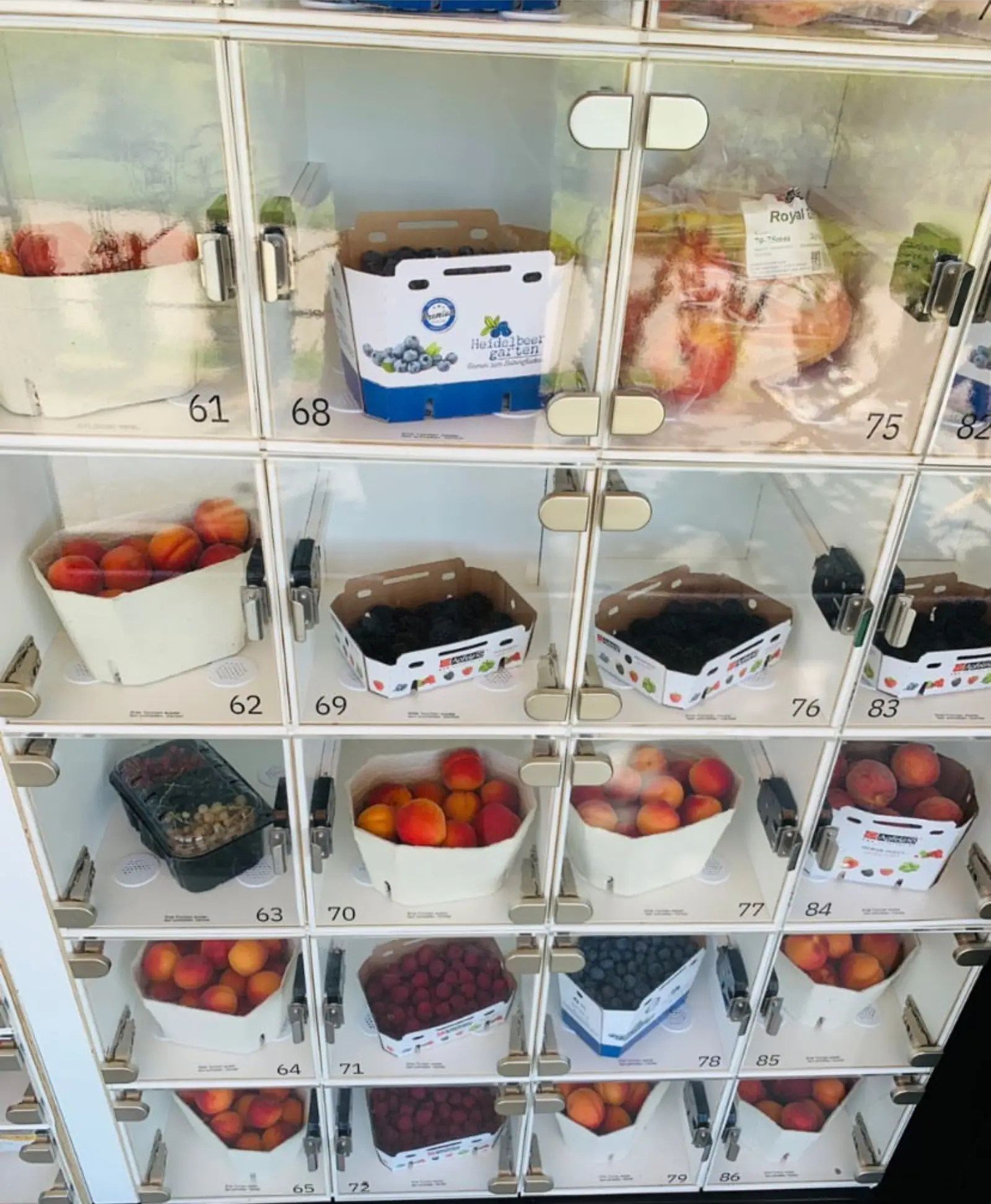 Marktbox-Verkaufsautomat mit frischem Obst wie Beeren und Pfirsichen in transparenten Einzelfächern